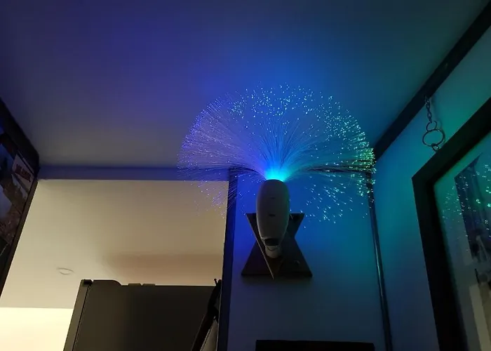 Kleine Karthause 아파트